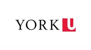 york university